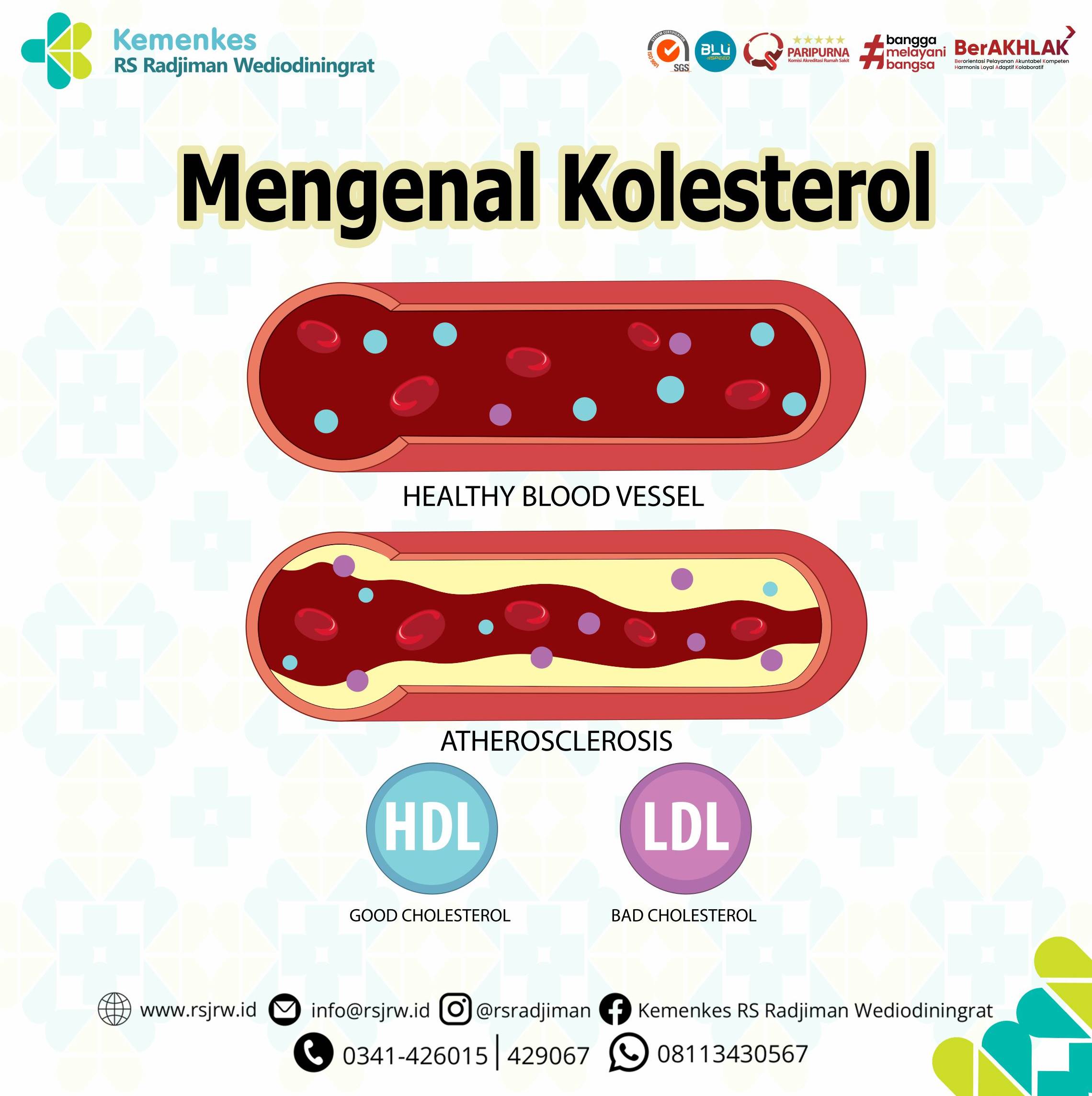 Mengenal Kolesterol